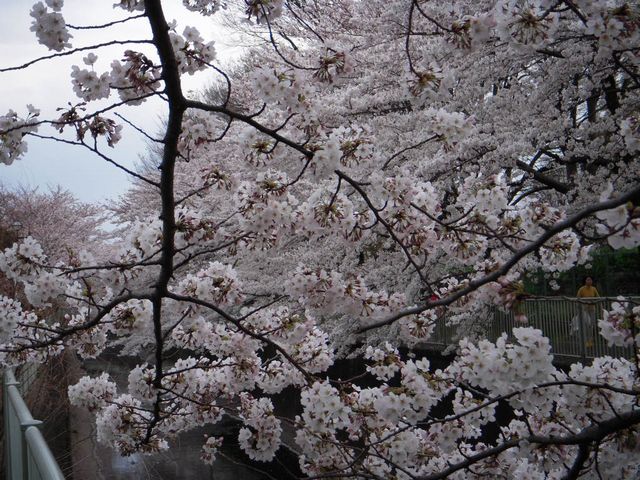 c0034850_20532959.jpg