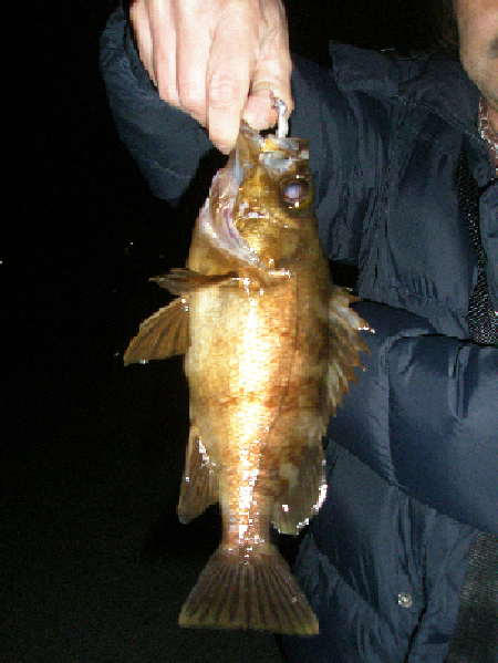 f0150151_114707.jpg
