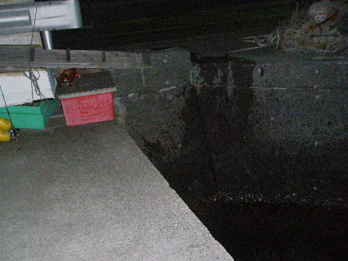 f0150151_11471368.jpg