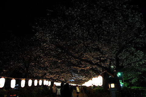 e0050753_0134599.jpg