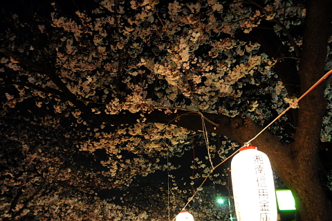 e0050753_013511.jpg