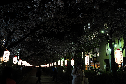e0050753_014911.jpg