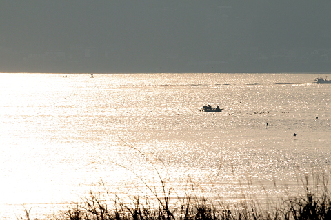 e0050753_12264572.jpg