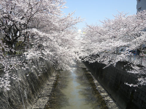 c0122157_10392212.jpg