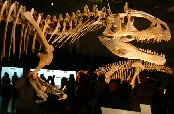 c0119160_20324896.jpg