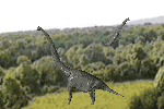c0119160_21233963.gif