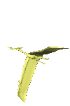 c0119160_21363189.gif
