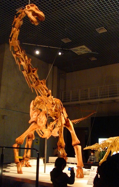c0119160_21757100.jpg