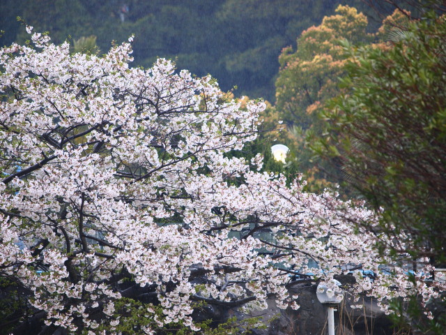c0186760_2375254.jpg