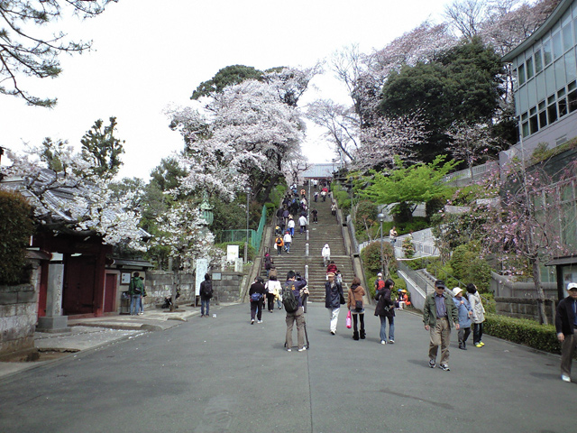 b0024261_134054.jpg