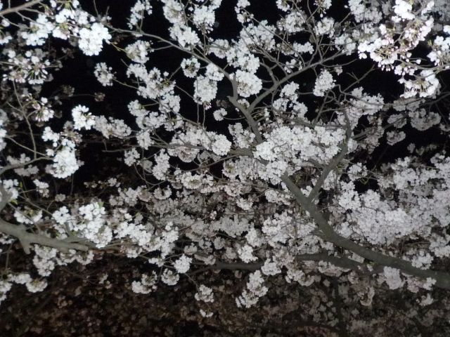 b0141664_15315350.jpg