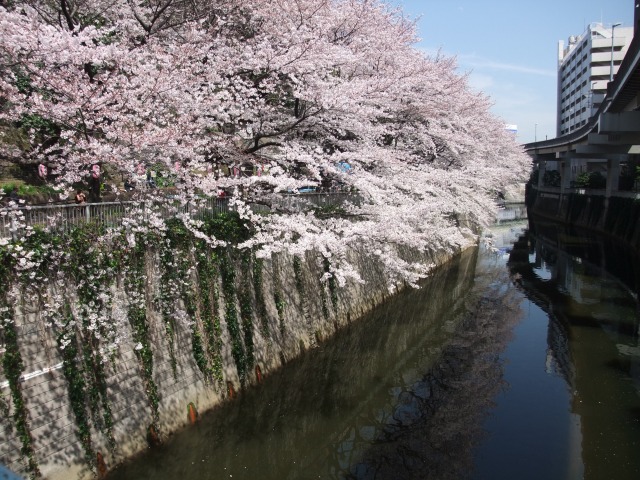 e0078069_6392922.jpg