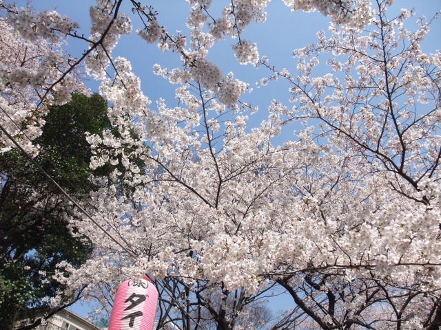 e0078069_639599.jpg