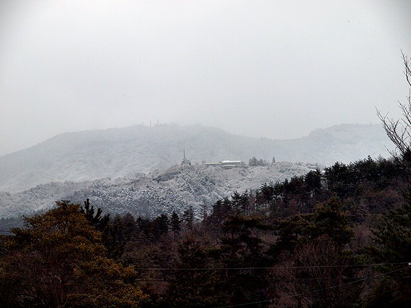 f0052269_1641731.jpg