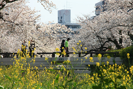 c0104371_10345243.jpg