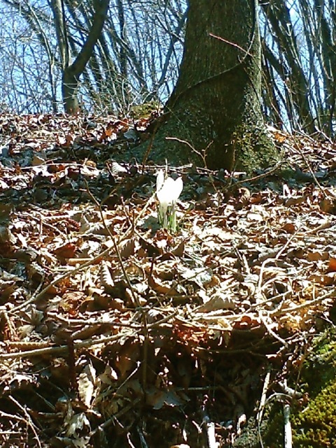 c0082573_032898.jpg