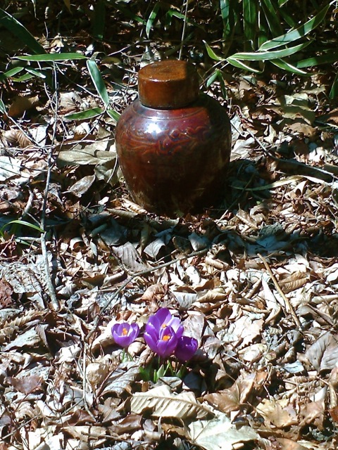 c0082573_045815.jpg