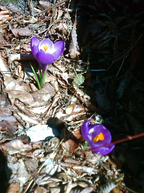 c0082573_055744.jpg