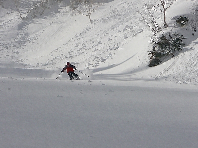 f0182173_16351763.jpg