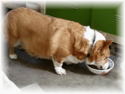 f0003174_16422344.gif
