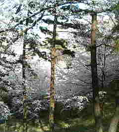c0146875_2222133.jpg