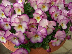 e0100275_14232068.jpg