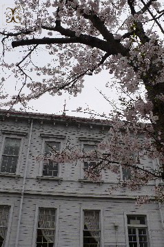 b0094378_15413656.jpg