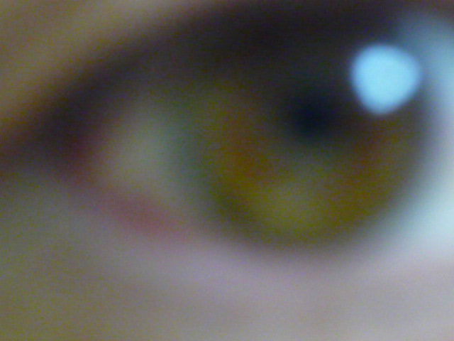 c0160778_2264524.jpg