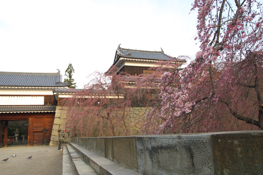 b0083779_11105622.jpg