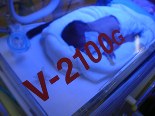 c0024579_2047243.jpg