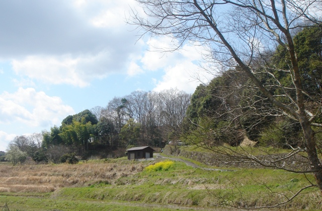 c0135480_23365021.jpg
