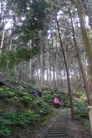 c0135480_23374110.jpg