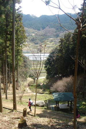 c0135480_2338546.jpg