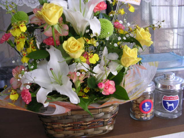 d0142182_18494287.jpg