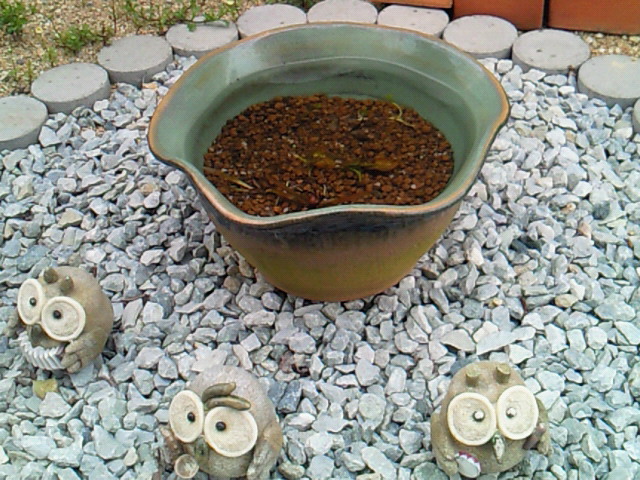 e0176785_17183889.jpg