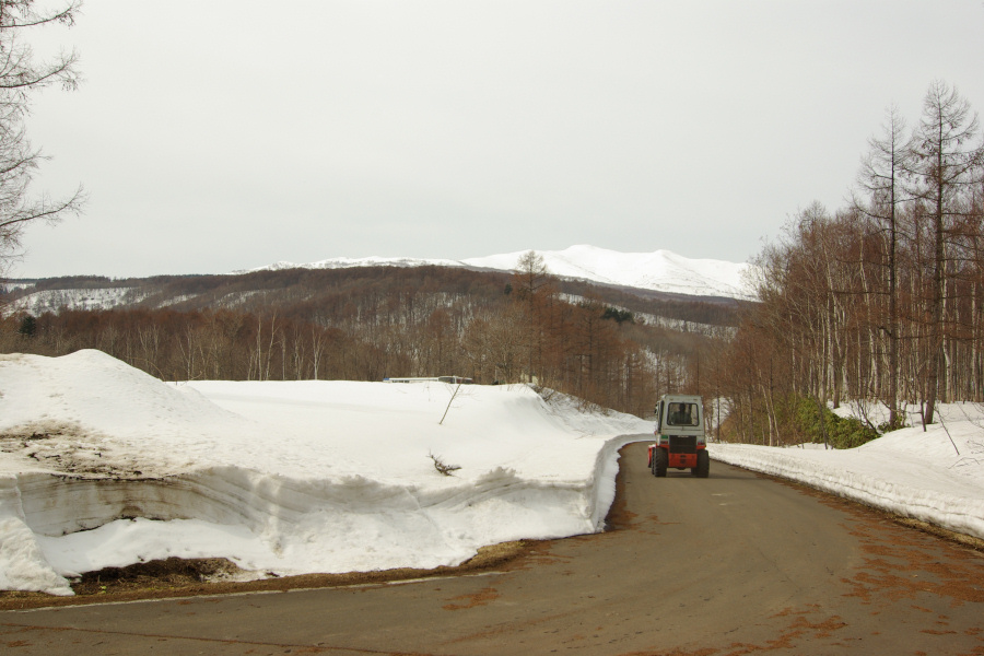 e0051186_2238186.jpg