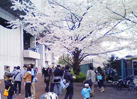 b0151490_1837433.jpg