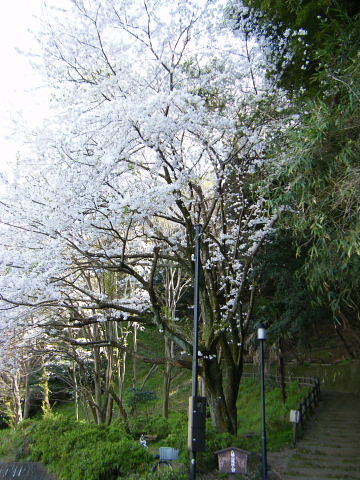 b0104592_1015276.jpg