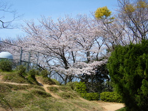 b0104592_1025039.jpg