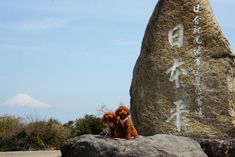 b0104592_9315755.jpg