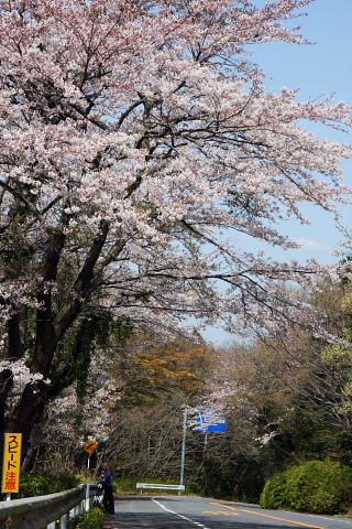 b0104592_9355532.jpg