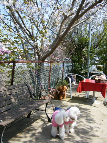 b0104592_9415888.jpg