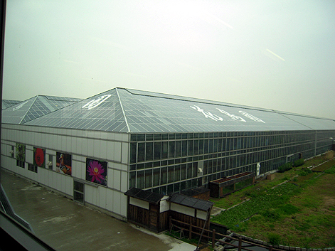 d0131293_16204717.jpg