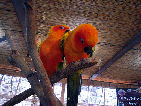 d0131293_171655100.jpg
