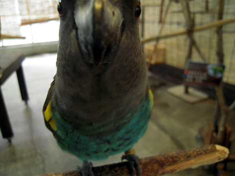 d0131293_17204038.jpg