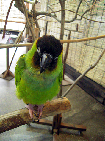 d0131293_172662.jpg