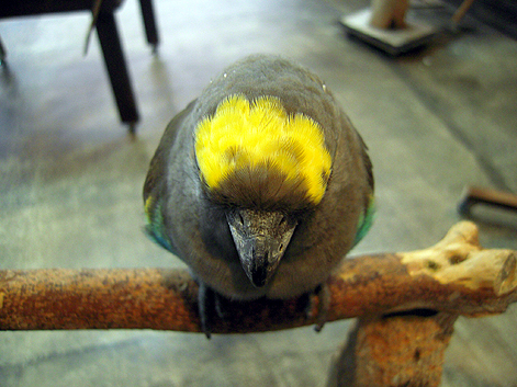 d0131293_17371156.jpg