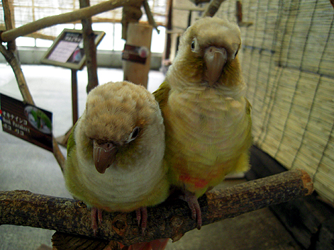 d0131293_1763747.jpg