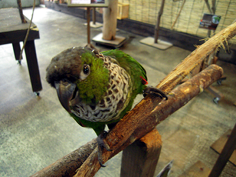 d0131293_1773045.jpg