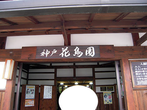 d0131293_19444411.jpg